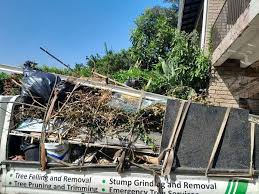 Best Electronics and E-Waste Disposal  in Corpus Christi, TX